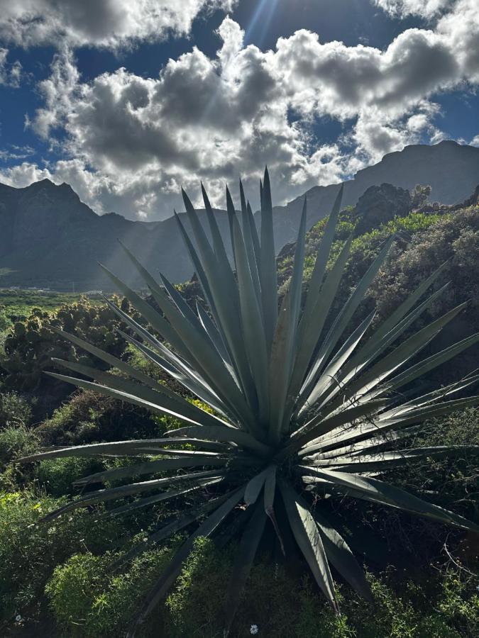 Aventura En Buenavista Del Norte Zewnętrze zdjęcie